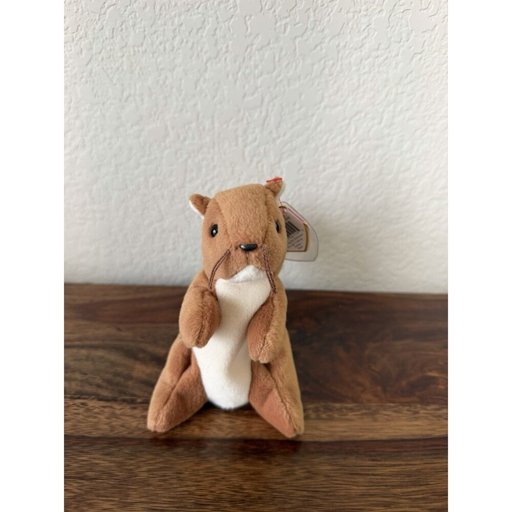 Ty Beanie Baby - NUTS the Squirrel (5.5 Inch) Plush Stuffed Animal Toy